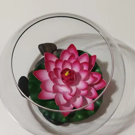 Edificio Sati 1 A * Santa Cruz de la Palma (Isla de la Palma)